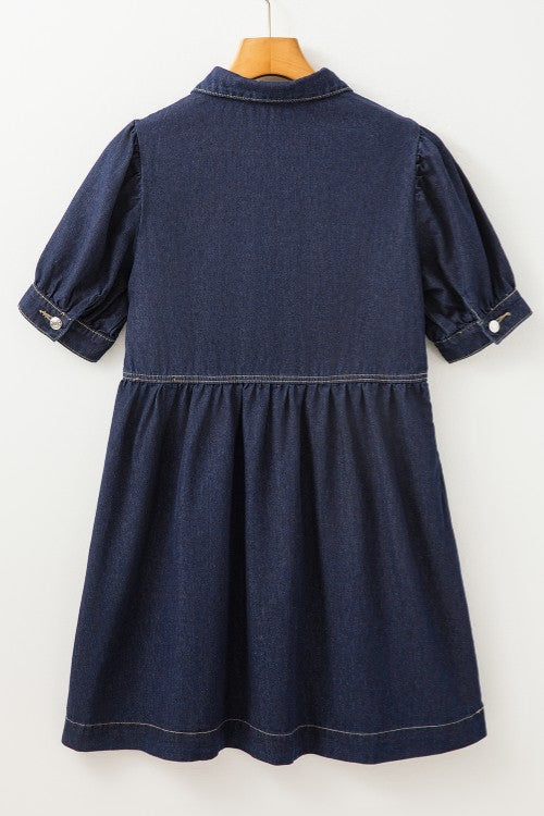 Collared Neck Half Zip Denim Dress