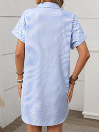 Striped Button Down Short Sleeve Mini Dress