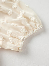 Polka Dot Mesh Puff Sleeve Textured Blouse