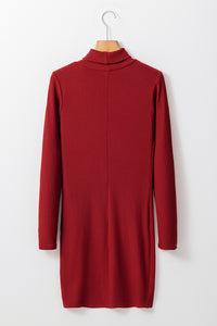 Ribbed Mock Neck Long Sleeve Mini Dress