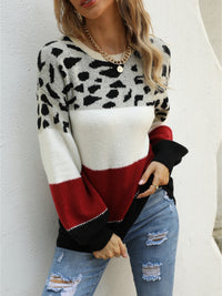 Angel Wings Color Block Round Neck Sweater