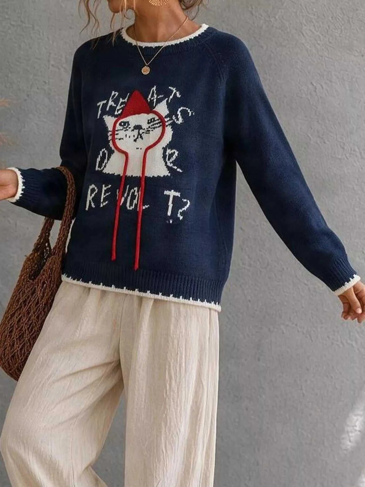 Cat Raglan Sleeve Sweater 101002953542604 40 Affordable Fashion Under $100 Jerry's Apparel 