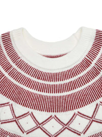 Geometric Crew Neck Knit Sweater 101002372250452 55 Affordable Fashion Under $100 Jerry's Apparel 