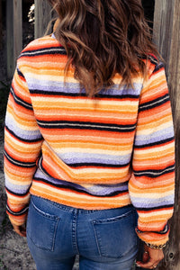 Contrast Striped Half Snap Long Sleeve Sweatshirt