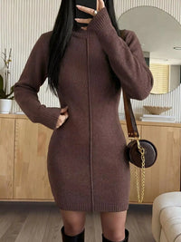 Turtleneck Ribbed Knit Sweater Dress 101002512803735 68 Affordable Fashion Under $100 Jerry's Apparel 
