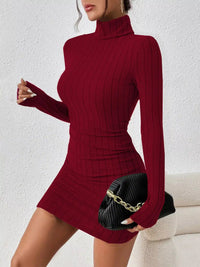 Christmas Outfit Turtleneck Ribbed Bodycon Knit Dress 101002016324235 30 Affordable Fashion Under $100 Jerry's Apparel 