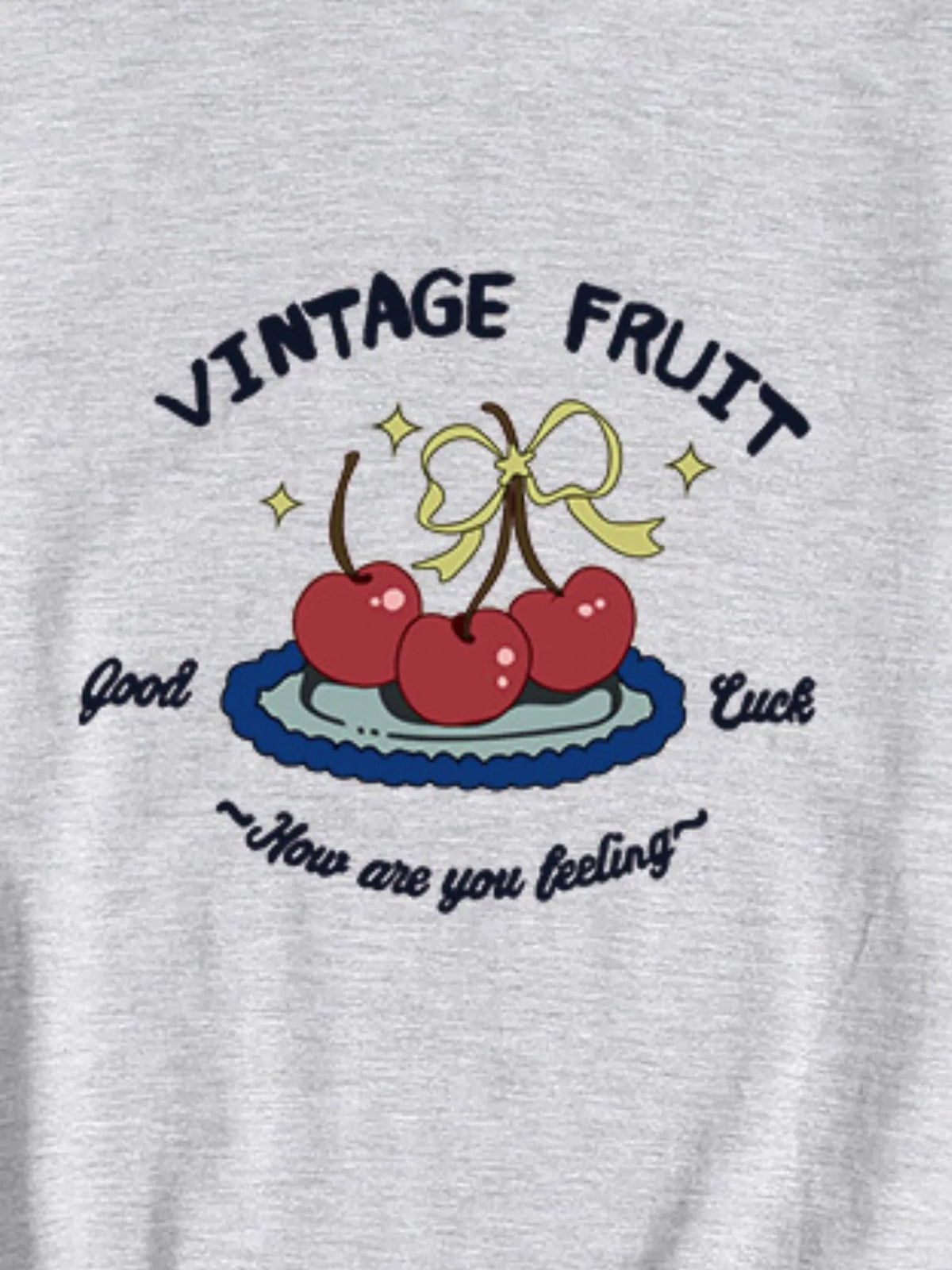 Plus Size Fruit Graphic Round Neck T-Shirt
