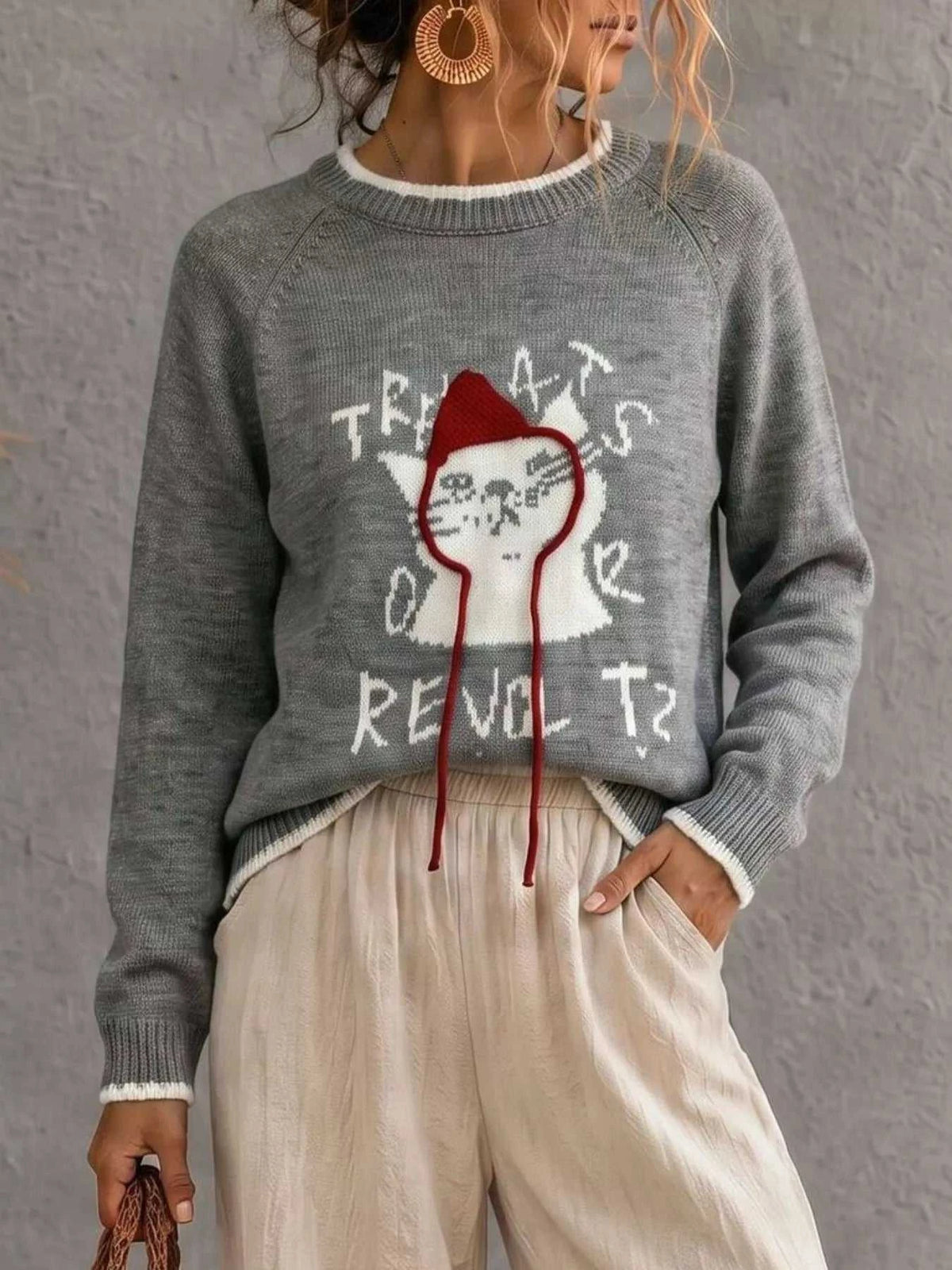 Cat Raglan Sleeve Sweater 101002953542604 40 Affordable Fashion Under $100 Jerry's Apparel 