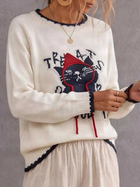 Cat Raglan Sleeve Sweater 101002953542604 40 Affordable Fashion Under $100 Jerry's Apparel 