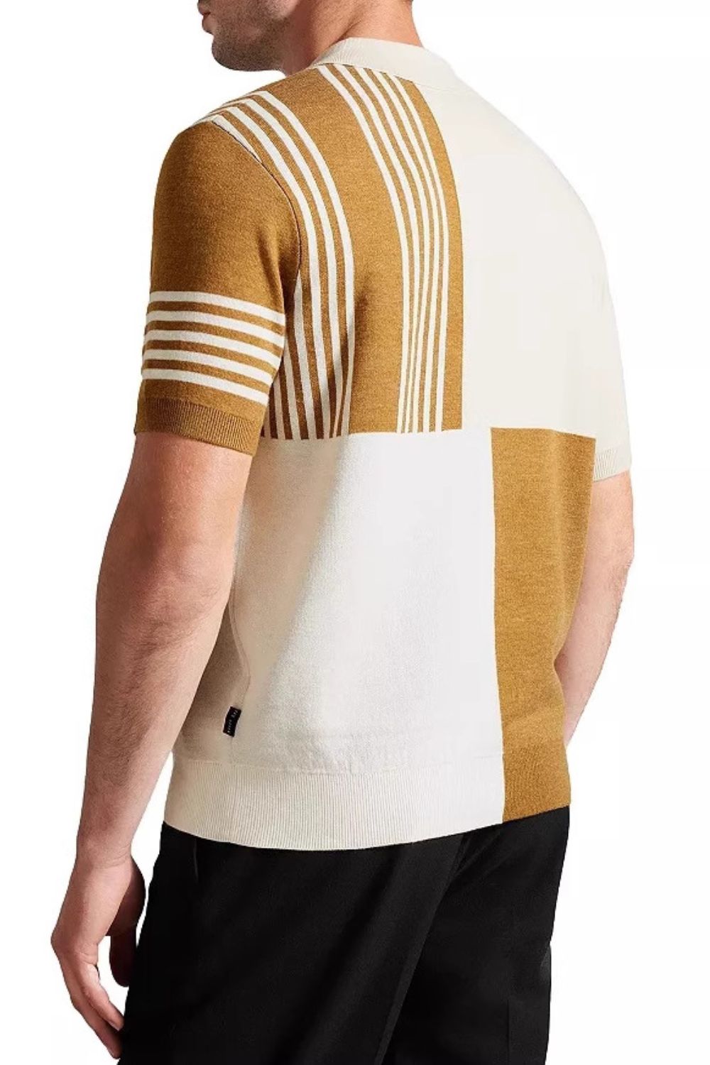 Men's Plus Size Color Block Short Sleeve Polo