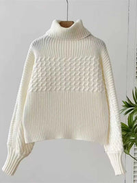 Textured Knit Turtleneck Long Sleeve Sweater 100100565063605 26 Affordable Fashion Under $100 Jerry's Apparel 