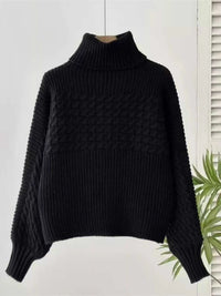 Textured Knit Turtleneck Long Sleeve Sweater 100100565063605 26 Affordable Fashion Under $100 Jerry's Apparel 