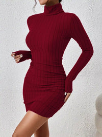 Christmas Outfit Turtleneck Ribbed Bodycon Knit Dress 101002016324235 30 Affordable Fashion Under $100 Jerry's Apparel 