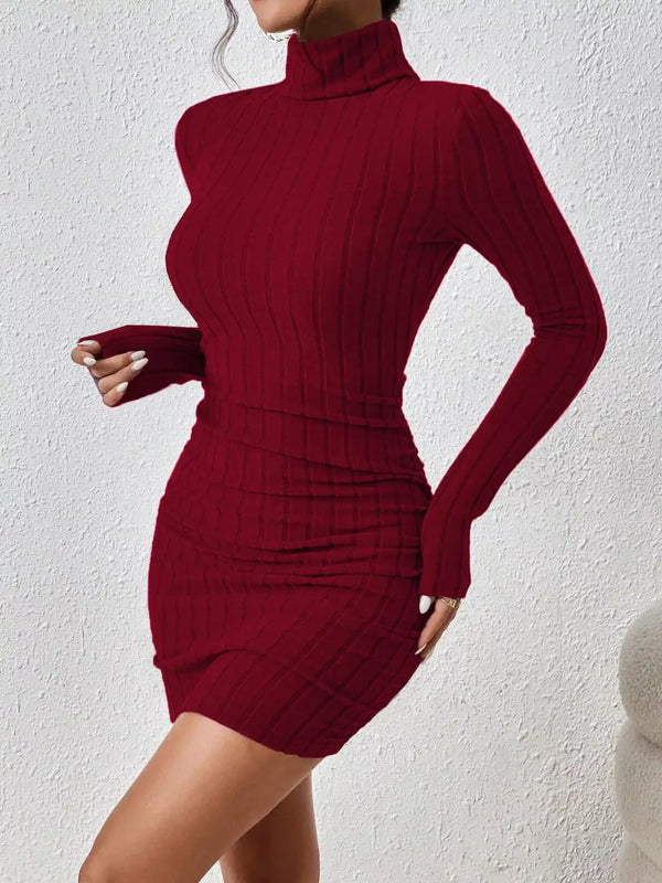 Christmas Outfit Turtleneck Ribbed Bodycon Knit Dress 101002016324235 30 Affordable Fashion Under $100 Jerry's Apparel 
