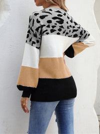 Angel Wings Color Block Round Neck Sweater