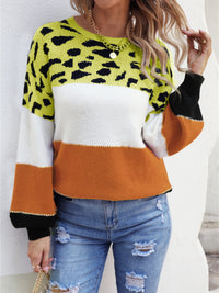 Angel Wings Color Block Round Neck Sweater