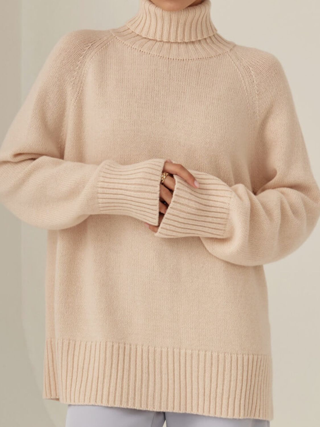 Turtle Neck Raglan Sleeve Sweater